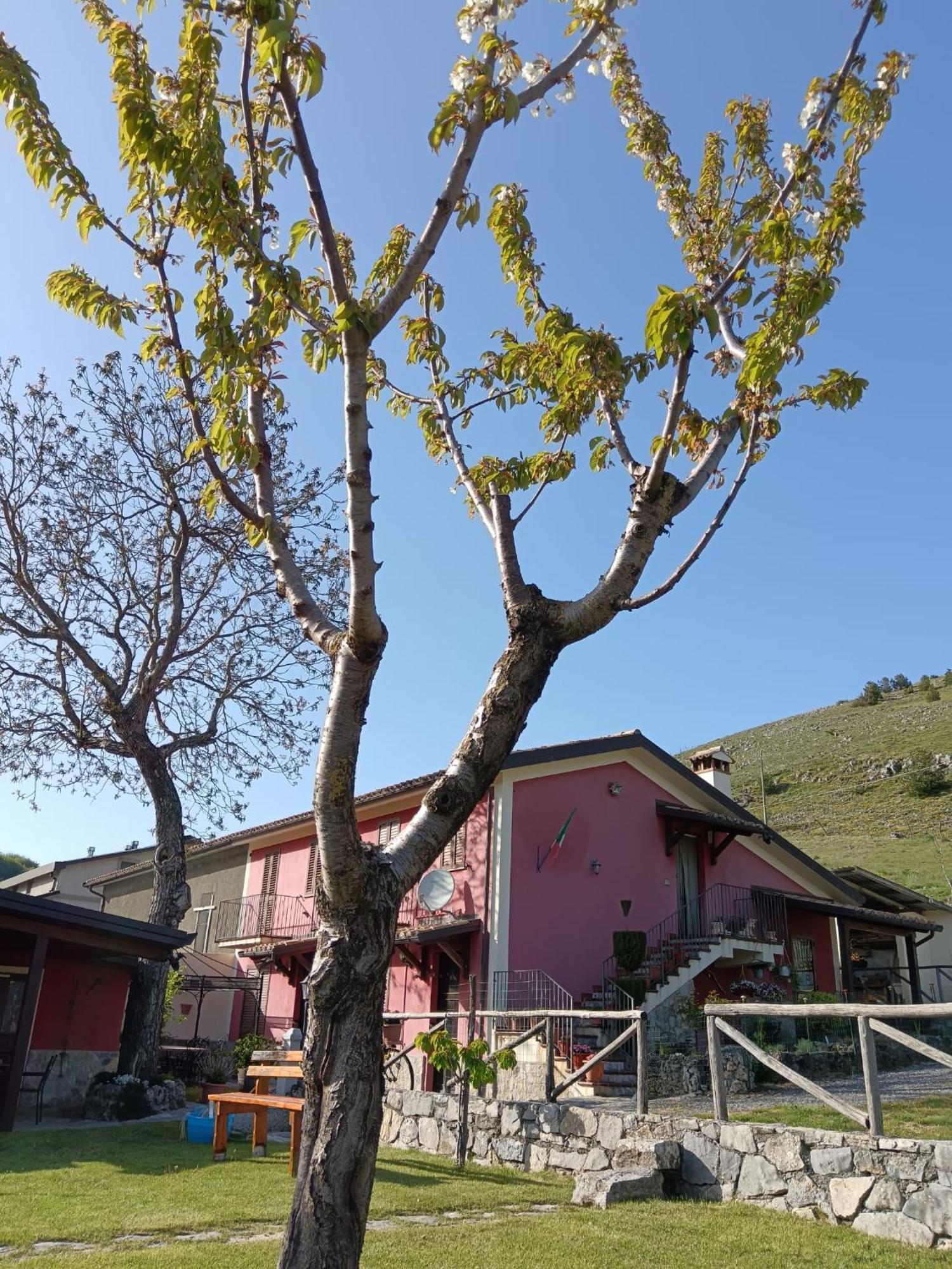 Agriturismo Casa Della Nonna Bed & Breakfast Mormanno Exterior photo